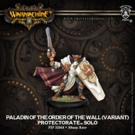 paladin of the order of the wall (variant) protectorate solo